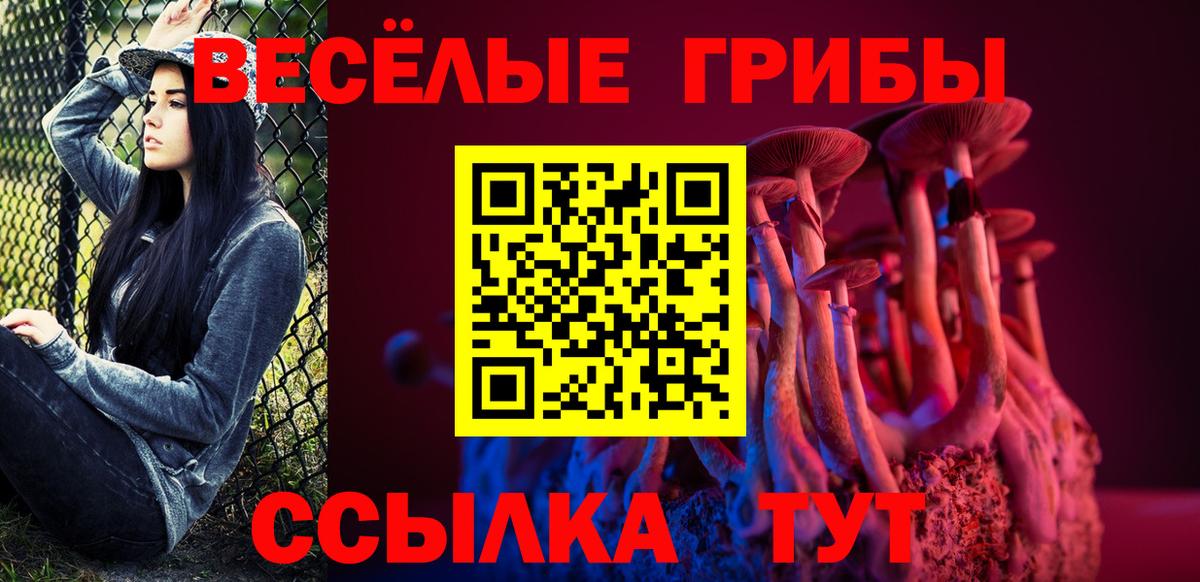 Псилоцибиновые грибы прущие грибы  Вход с VPN  наркошоп  Хасавюрт 